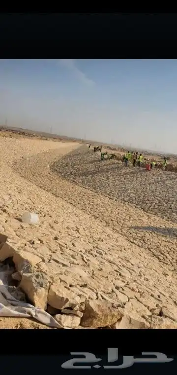 نخيل وزيتون وربراب 3