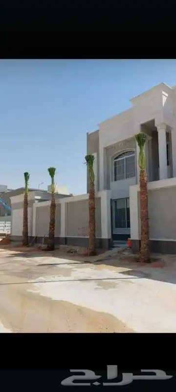 نخل زينه وشنطني 0