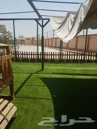 مشتل ربيع المملكة 3