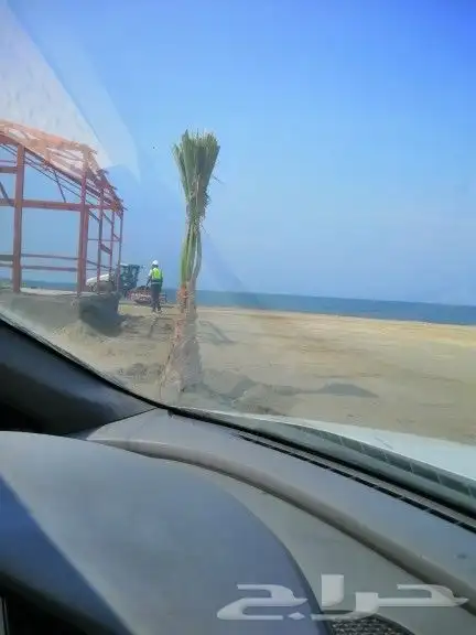 مقاول شبوك و زراعه نخيل 4