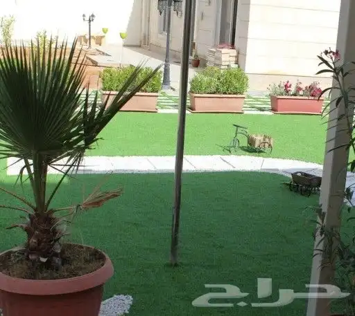 مشتل ربيع المملكة 2