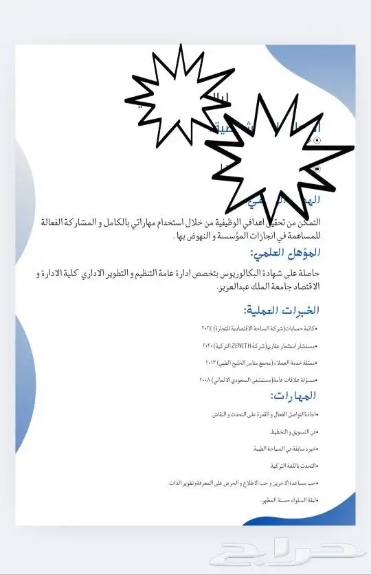 cv سيرة ذاتية 2