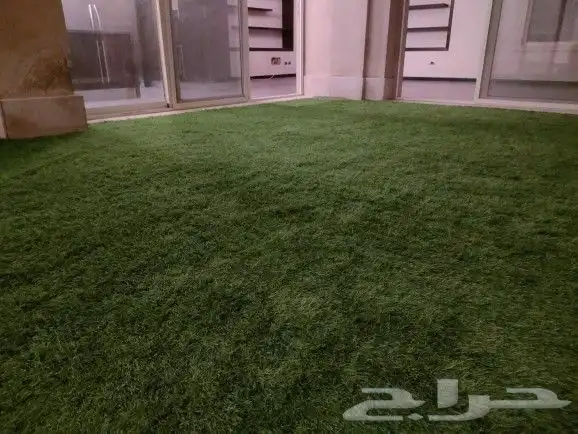 مشتل ربيع المملكة 4