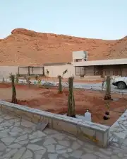 توجد لدينا جميع انواع النخيل الزينه والمثمر العربي جميع مقاس 9