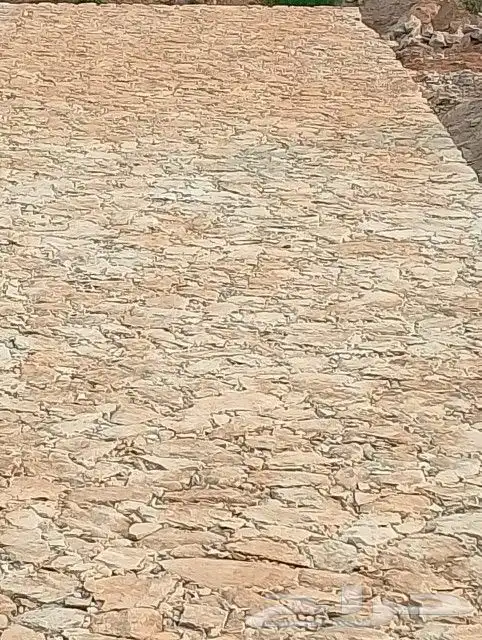 بوكلين شغل خجر أفغاني 12