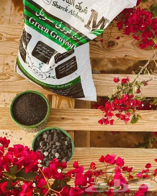 توف بركاني وطني طبيعي عضوي معتمد 1