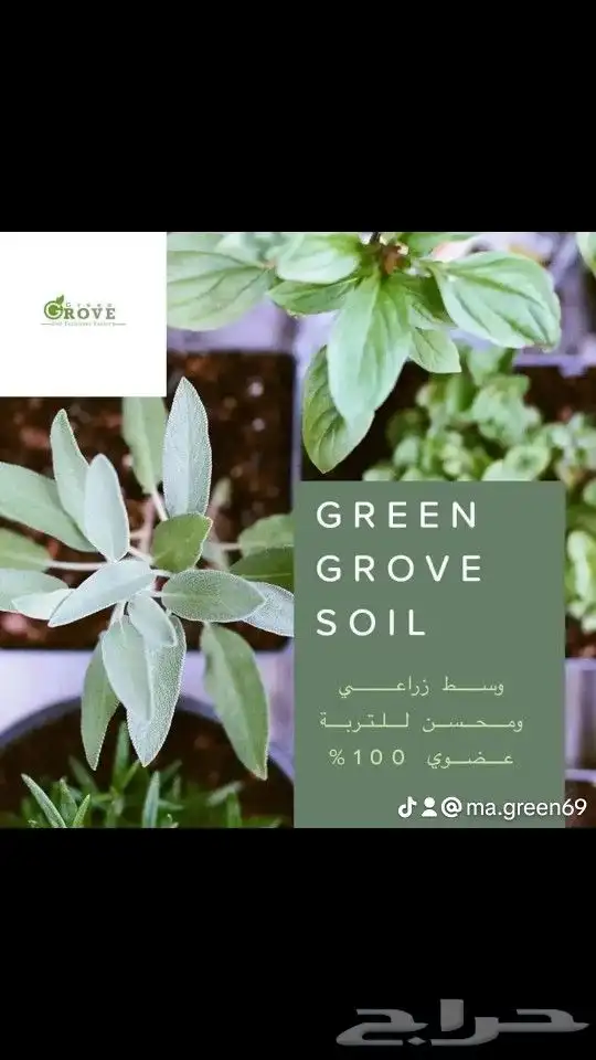 توف بركاني وطني طبيعي عضوي معتمد 2