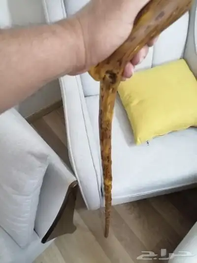 مشعاب عوشز فخم ومميز ( تم البيع ) 11