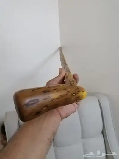 مشعاب عوشز فخم ومميز ( تم البيع ) 6