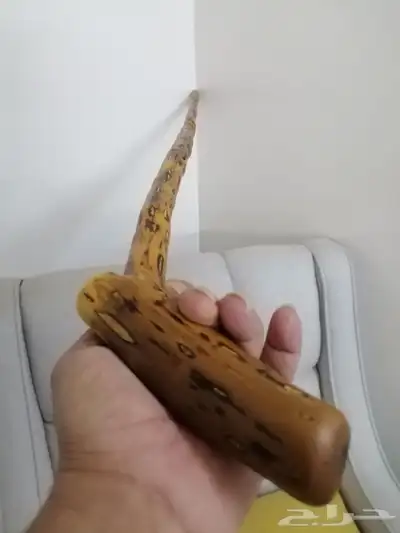 مشعاب عوشز فخم ومميز ( تم البيع ) 3
