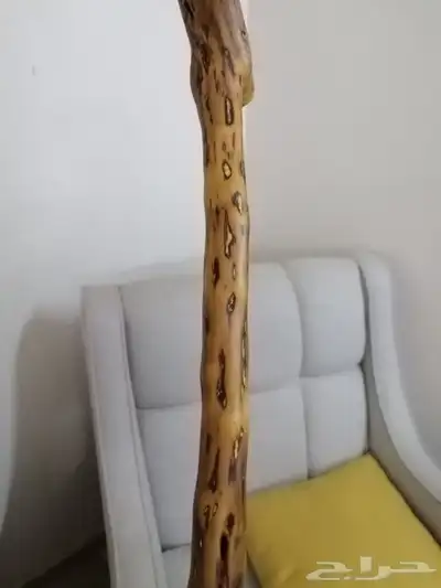 مشعاب عوشز فخم ومميز ( تم البيع ) 24