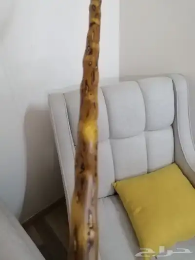 مشعاب عوشز فخم ومميز ( تم البيع ) 29