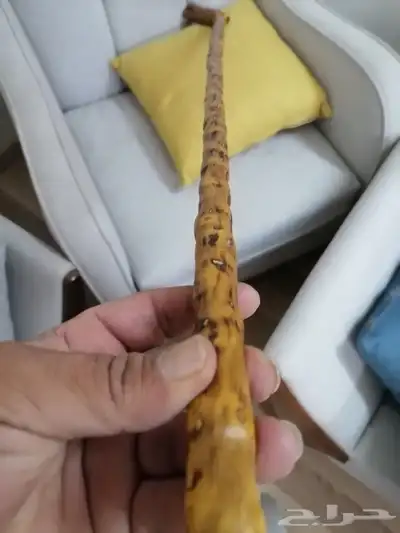 مشعاب عوشز فخم ومميز ( تم البيع ) 20