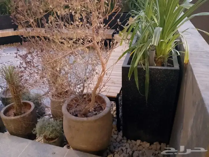 احواض زراعيه مراكن اصيص زرع 3