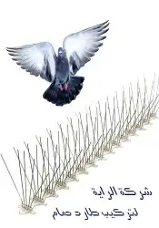 طارد الطيور الحمام تركيب غطاء المكيف شوك 3