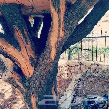 اعمال النحت الاسمنتي والشلالات الاندنيسي 0