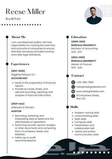 سيره ذاتيه احترافيه فقط ب30ريال 1