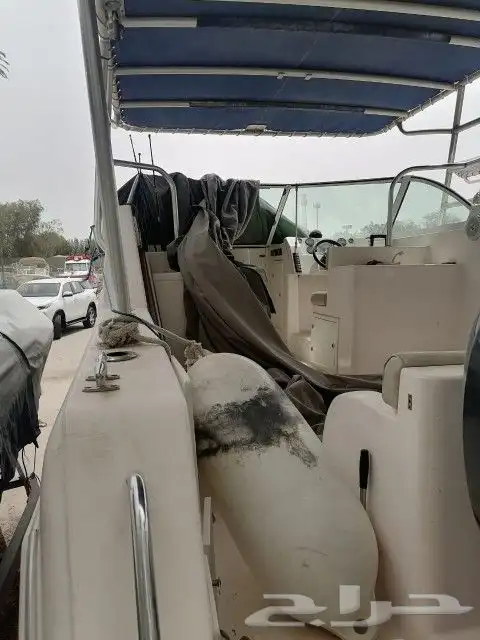 قارب للبيع 9