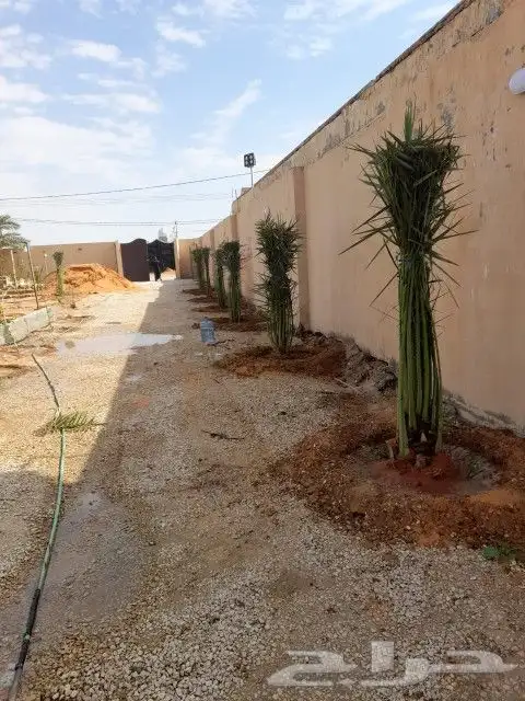 نقوم بجميع اشغال النخيل قلع غرس توريد تكريب فسايل نقايل عربي 4