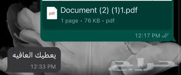 ترجمة معتمدة 7