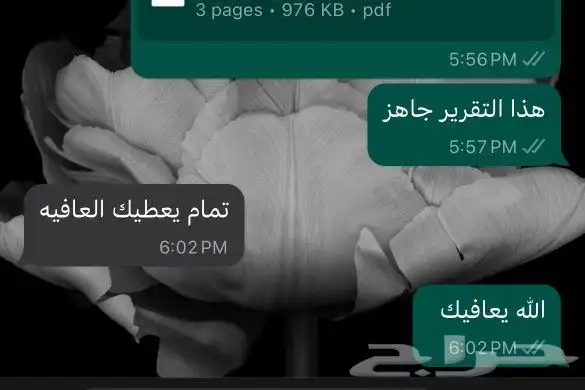 ترجمة معتمدة 8