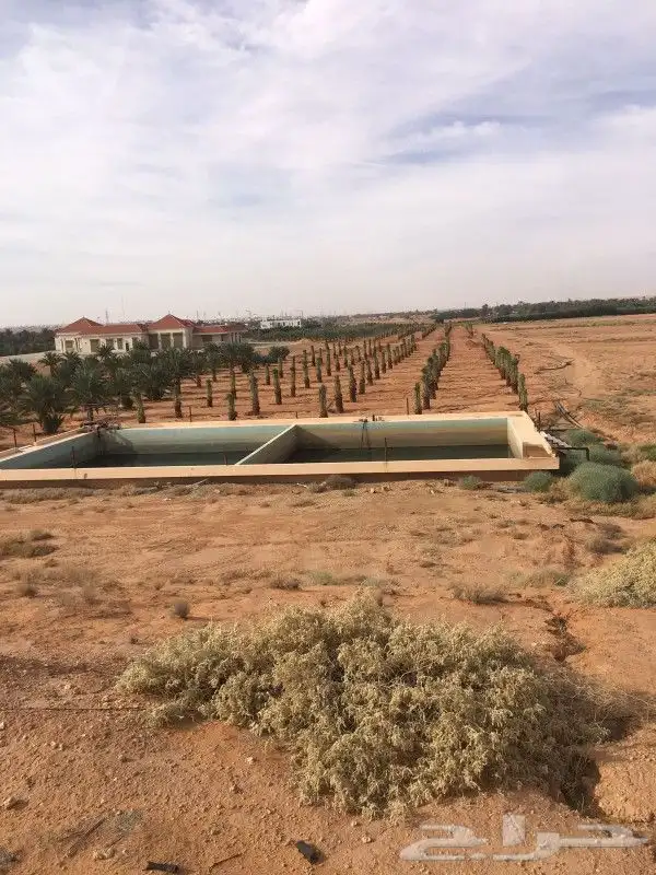 نقوم بجميع اشغال النخيل قلع غرس توريد تكريب فسايل نقايل عربي 9