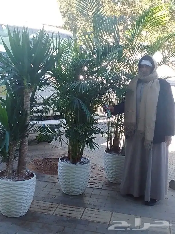 تنسيق حدائق 0