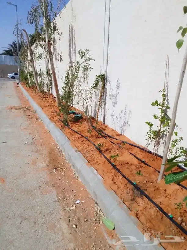 تنسيق حدائق 5