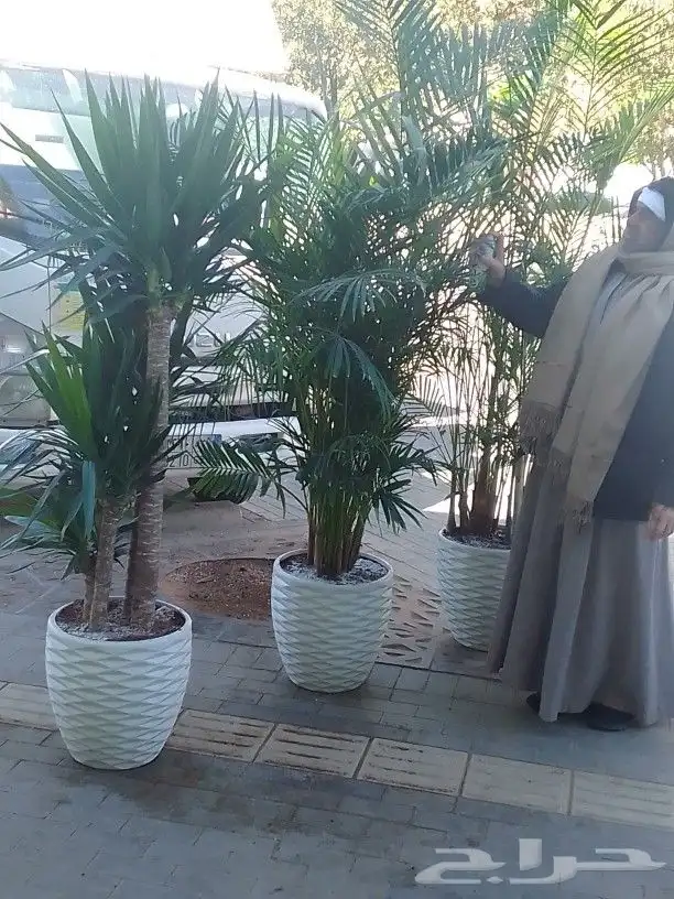 تنسيق حدائق 1