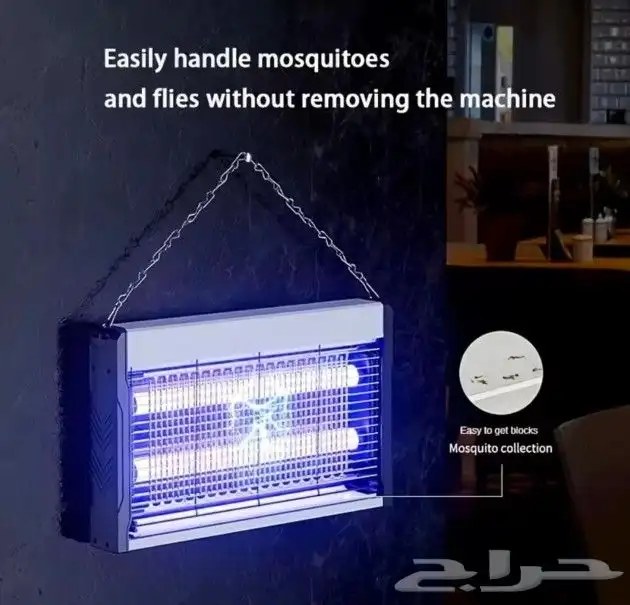 قاتل الحشرات 1