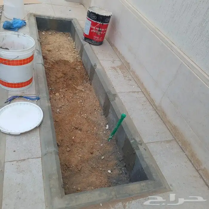 زراعه الورد الطبيعى والتيل الطبيعى 9