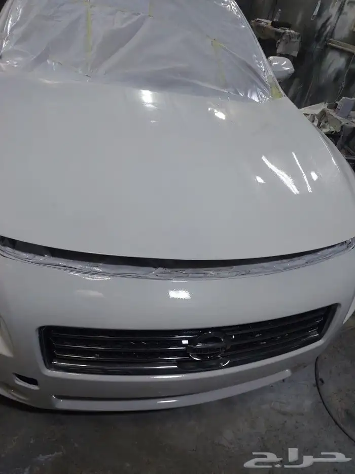 رش تجميلي فرن بسعر منخفض 5