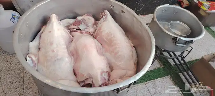 طباخ متنقل داخل وخارج الرياض جريش قرصان ايدمات قهوجي وصباب 1