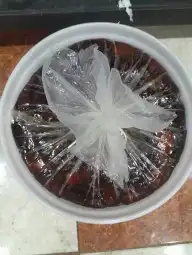 تمور حائل الفاخره 6