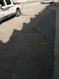 شبكة صيد طيور مصيدة 2
