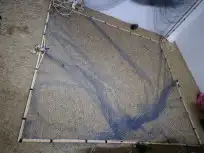 شبكة صيد طيور مصيدة 1