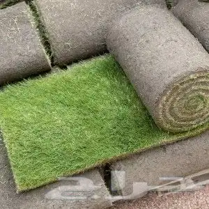 تنسيق حدائق شبكات ري زرعه احوض زرعه الثيل طبيعي 5