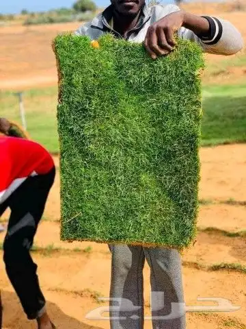 تنسيق حدائق شبكات ري زرعه احوض زرعه الثيل طبيعي 6