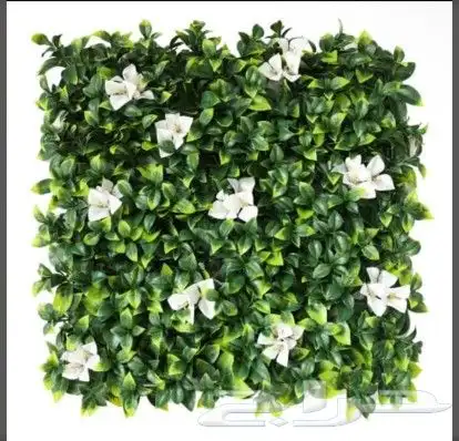 عشب جدارى ثرى دى   عشب أرضى  حدائق جملة 2