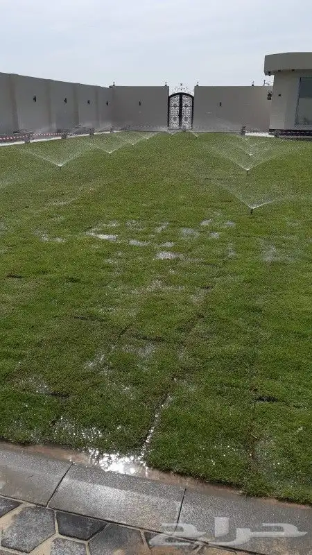 تنسيق حدائق شبكات ري زرعه احوض زرعه الثيل طبيعي 8