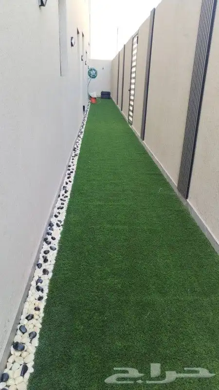 عشب جدارى ثرى دى   عشب أرضى  حدائق جملة 4