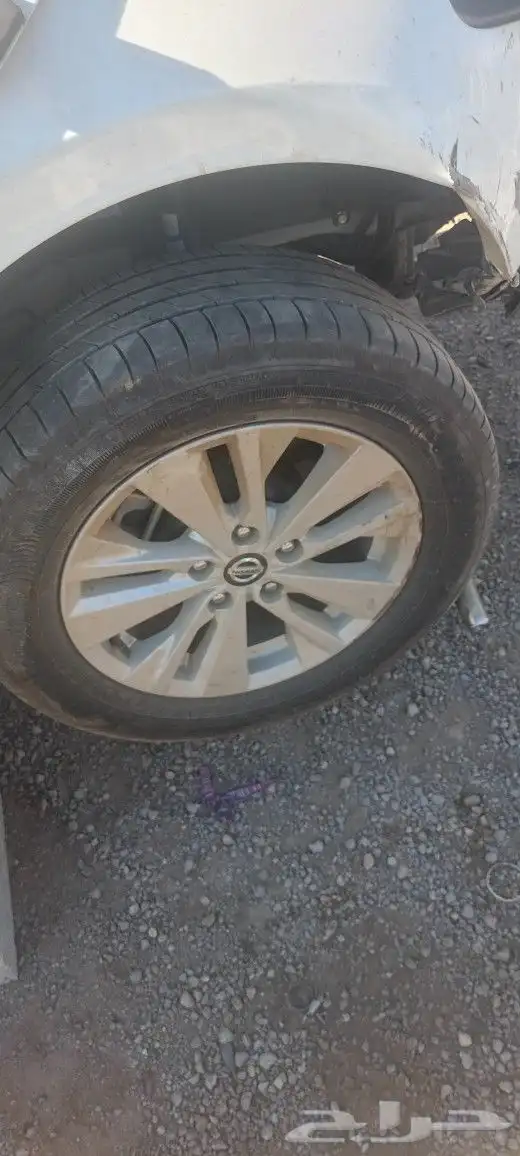 جنوط التيما ستاندر 2023 0