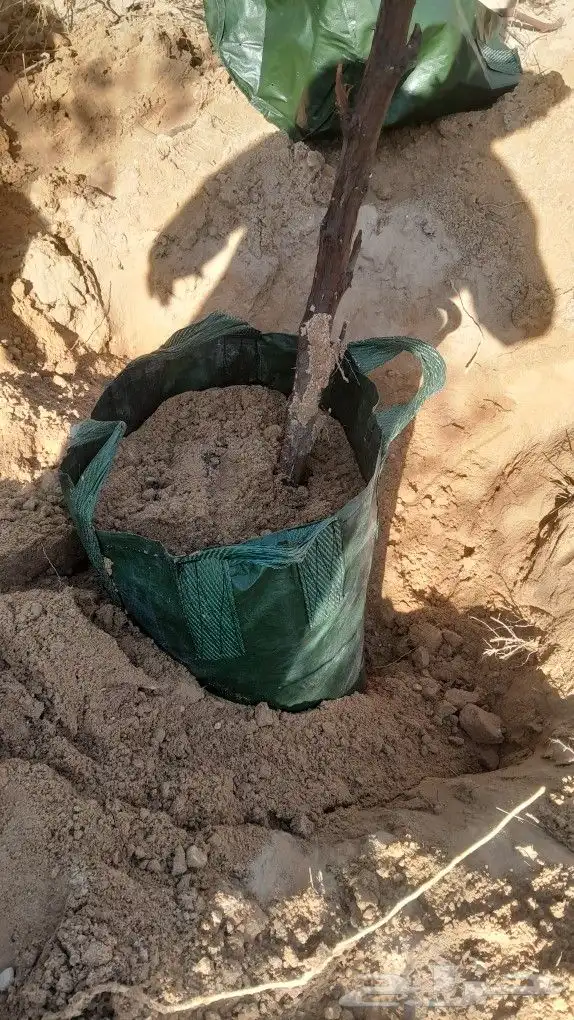 حظاير دواجن 2