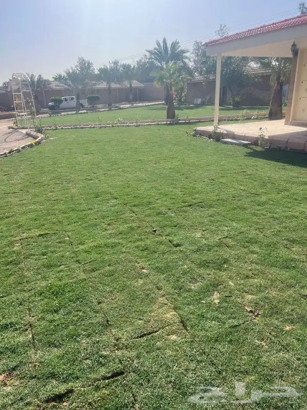 تنسيق حدائق شبكات ري زرعه احوض زرعه الثيل طبيعي 14