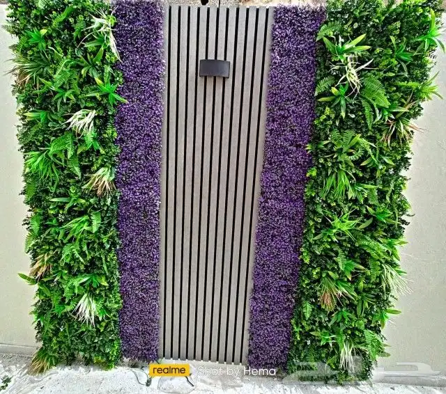 عشب جدارى ثرى دى   عشب أرضى  حدائق جملة 5