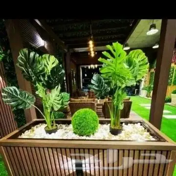تنسيق حدائق مكه ابو هيام 23