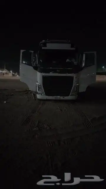 لوبد موجود في عيون الجواء القصيم 4