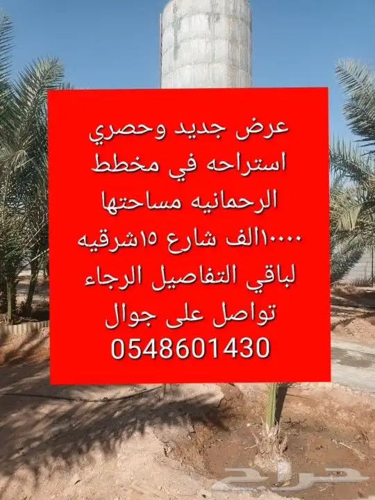 الهياثم العفجه نجديه الرحمانيه الشديده الرفايع العتيق الدلم 0