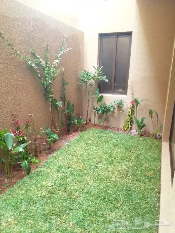 تنسيق حدائق وزراعه التيل وتركيب شبكة الري 3