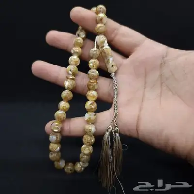 سبح صدف 7